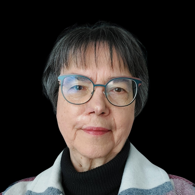 Anne Stenros